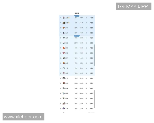 聚焦CBA展望新赛季格局变化与球队竞争走势解析全景深度盘点篇