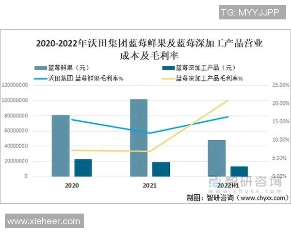 聚焦世界足球巨星成长历程与赛场荣耀全景解读与未来展望趋势洞察